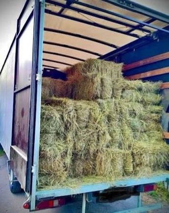 ДОСТАВКА ОТ 1 ШТ  сено сіно в тюках мешках (люцерны и др). По наличию.