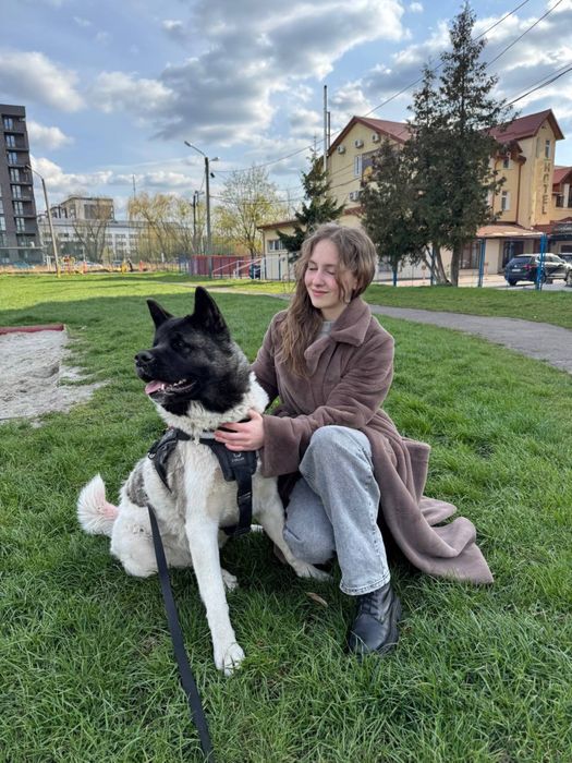 Зооняня , вигул собак