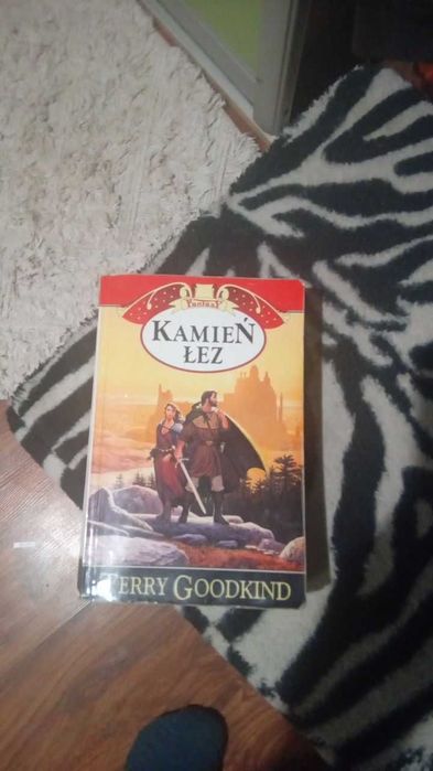 Kamień Łez, Terry Goodkind