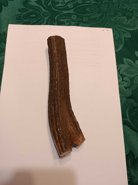 Gryzak z poroża jelenia dla psa 18 cm