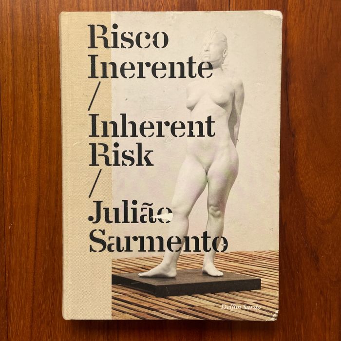 Delfim Sardo - Julião Sarmento: Risco Inerente/Inherent Risk