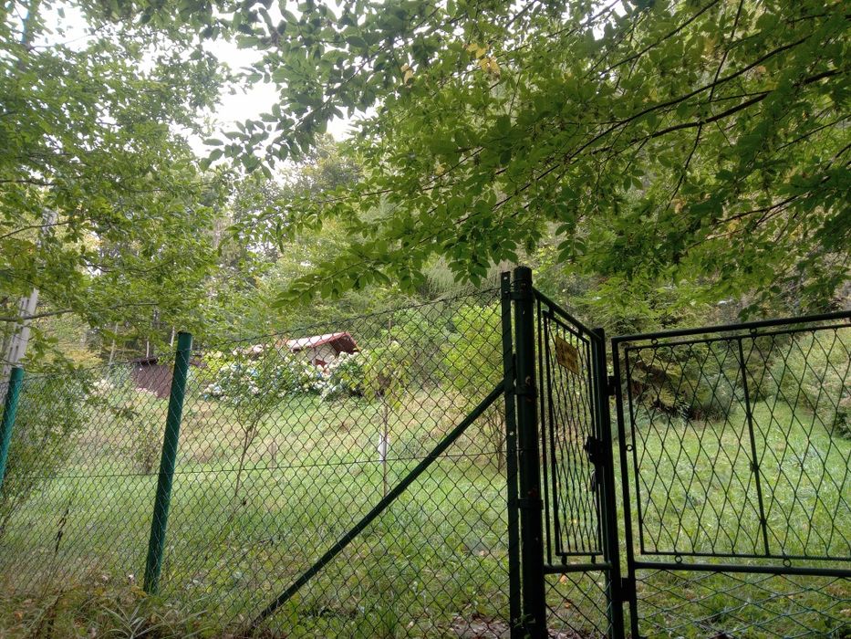 Sprzedam dwie działki przy lesie.