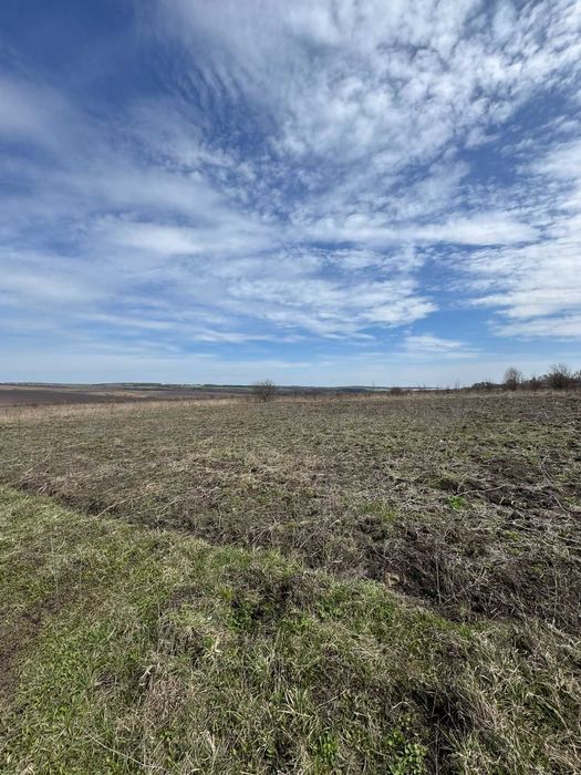 Ділянка в Лісових Гринівцях