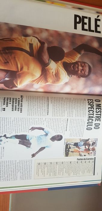 Futebol guia completo do futebol mundial