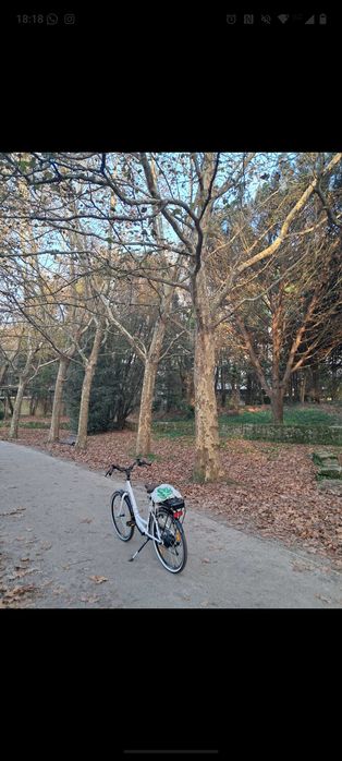 Bicicleta eléctrica