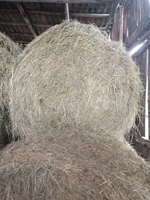 Sprzedam siano 130