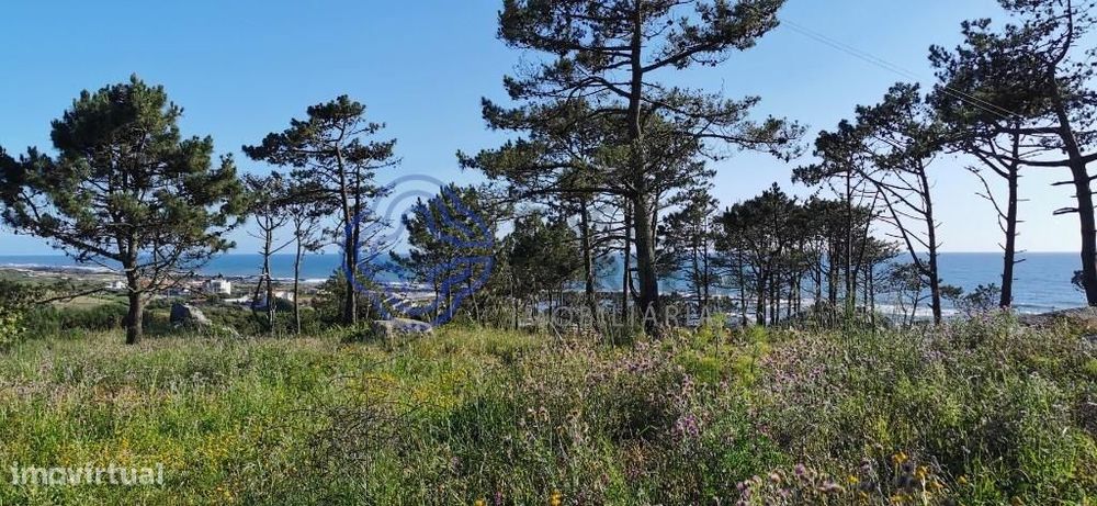 Terreno em Carreço-Montedor, 2 minutos da praia