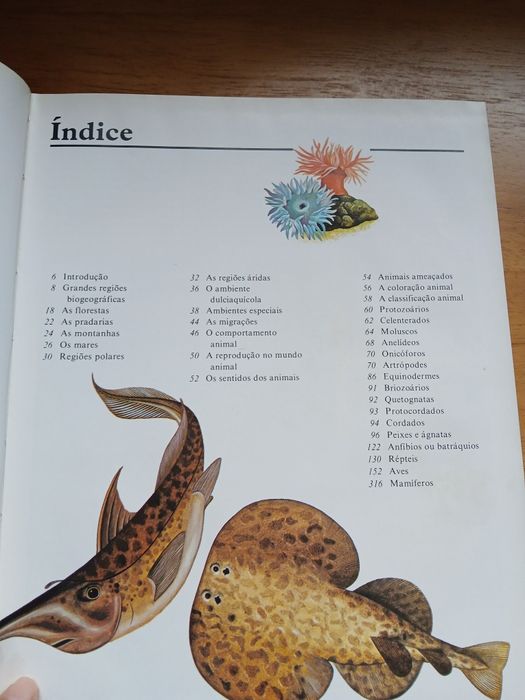 Enciclopédia da Vida Animal