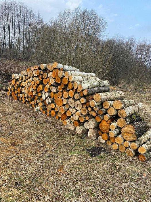 Продам дрова з доставкою до Вас