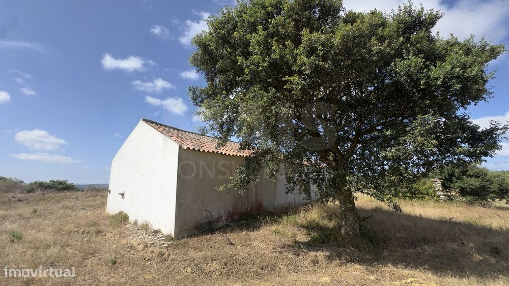 Charming warehouse on rustic land of nearly 7,000 m²