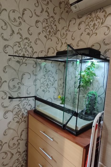 Большой террариум Exo Terra для игуаны, хамелеона, геккона и других ре