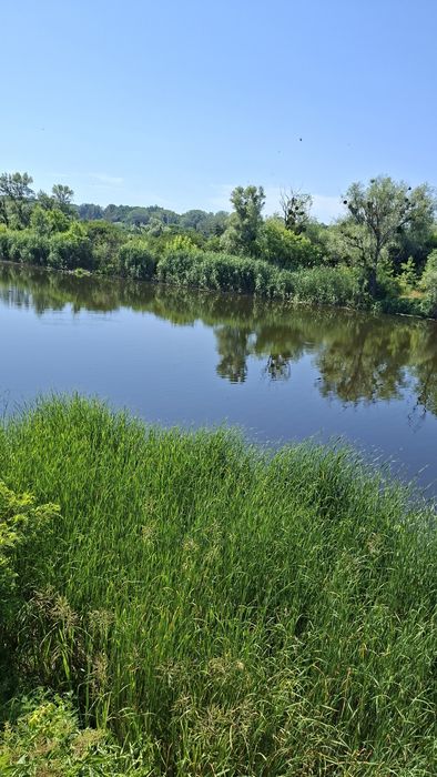 Полтава будинок в мальовничому місці