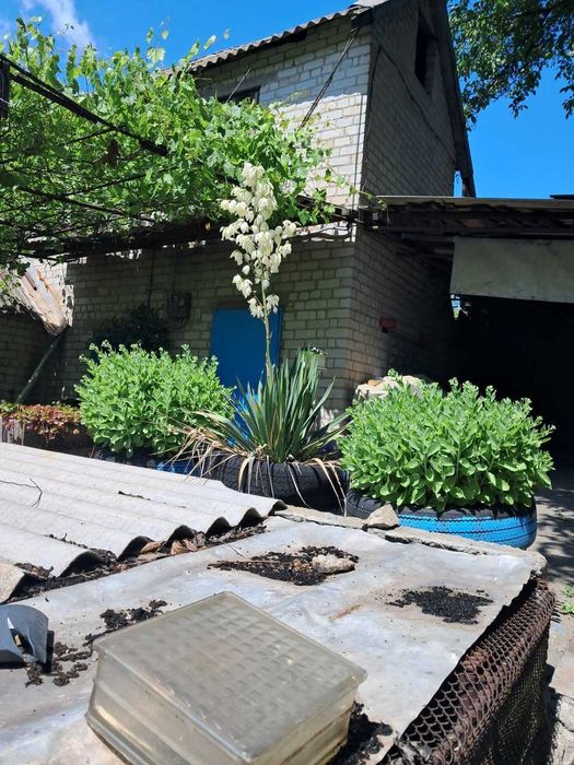 Без комиссии! Продам дачу! Р-н Подпорожнянки! Ближние дачи!