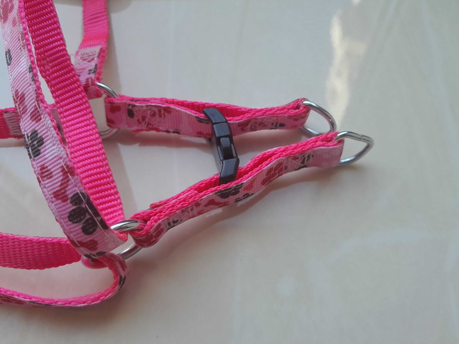 Шлея для маленькой собачки