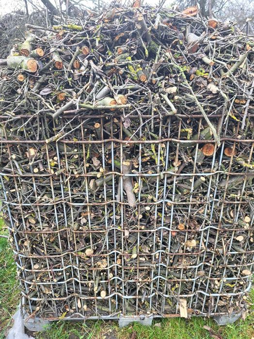 Sprzedam zrebki jablonkowe