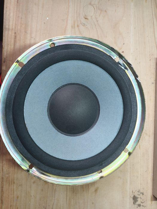 Głośniki 8ohm malaysia zamiana za elektronikę