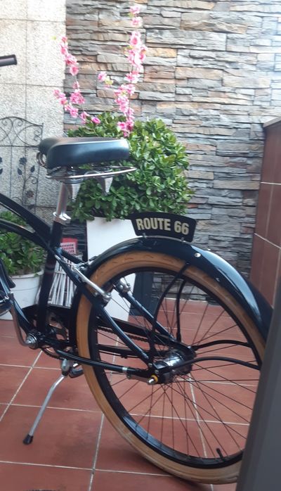 Bicicleta Beach Cruiser Edição Limitada 900