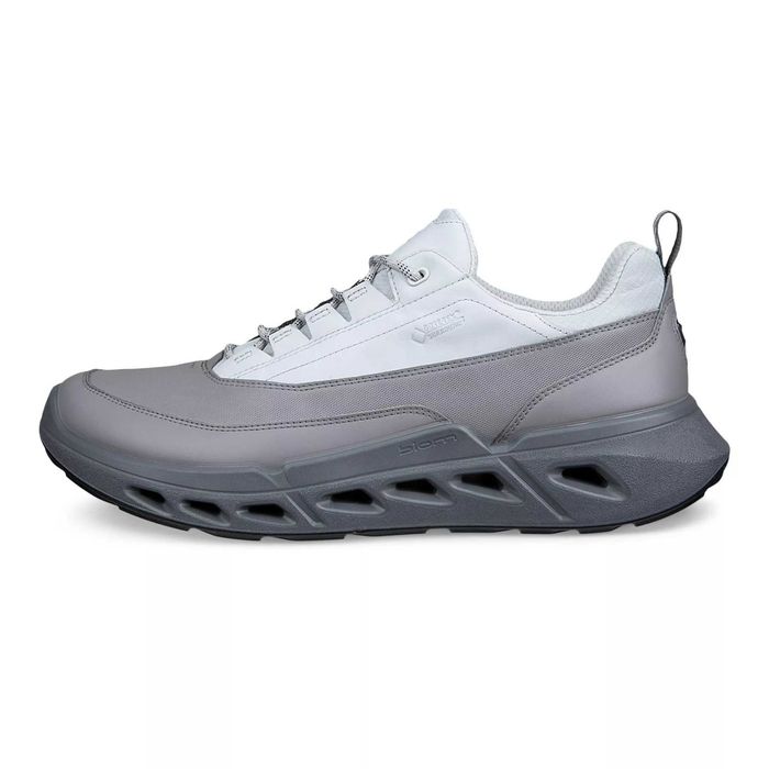 Мужские Кроссовки ECCO BIOM 720 M