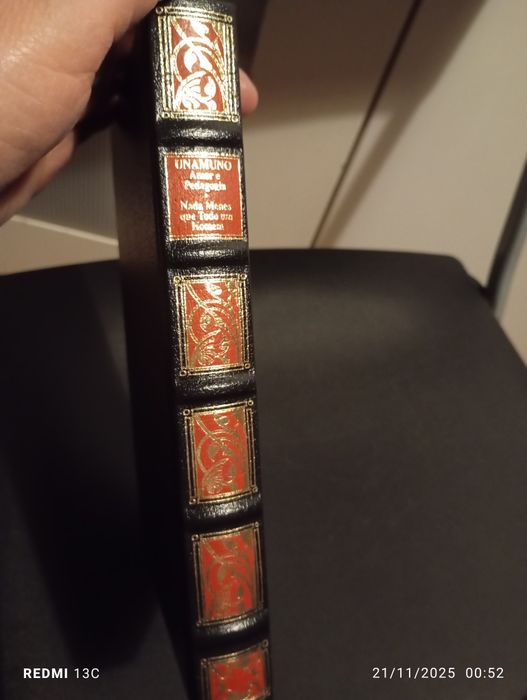 Livro " Amor e pedagogia-Nada menos que todo um homem"