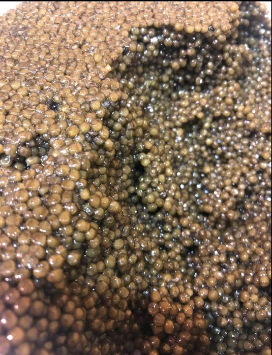 Чорна ікра осетрова 100 gr