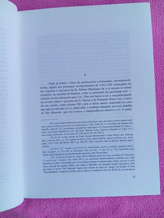 Viseu agosto de 1109- Nasce D. Afonso Henriques