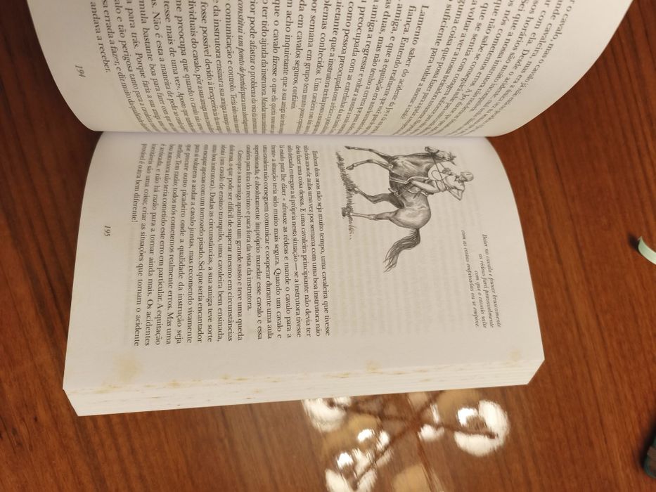 Livro O Cavaleiro - Solução de problemas. Portes Incluidos