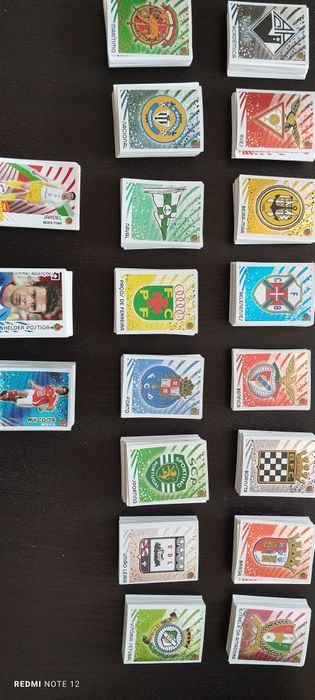 Panini 2006/2007     Euro 2008