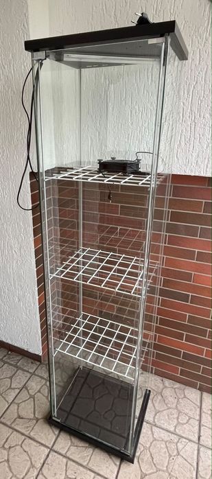 Witryna do kwiatkow DETOLF