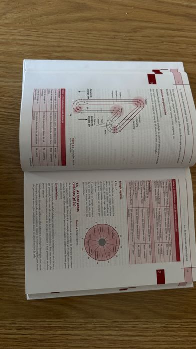 Guia Prático de Acupuntura – Claudia Focks | 2ª Edição | Manole