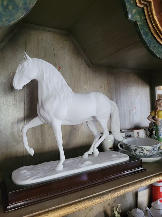 Cavalo Lusitano Vista Alegre