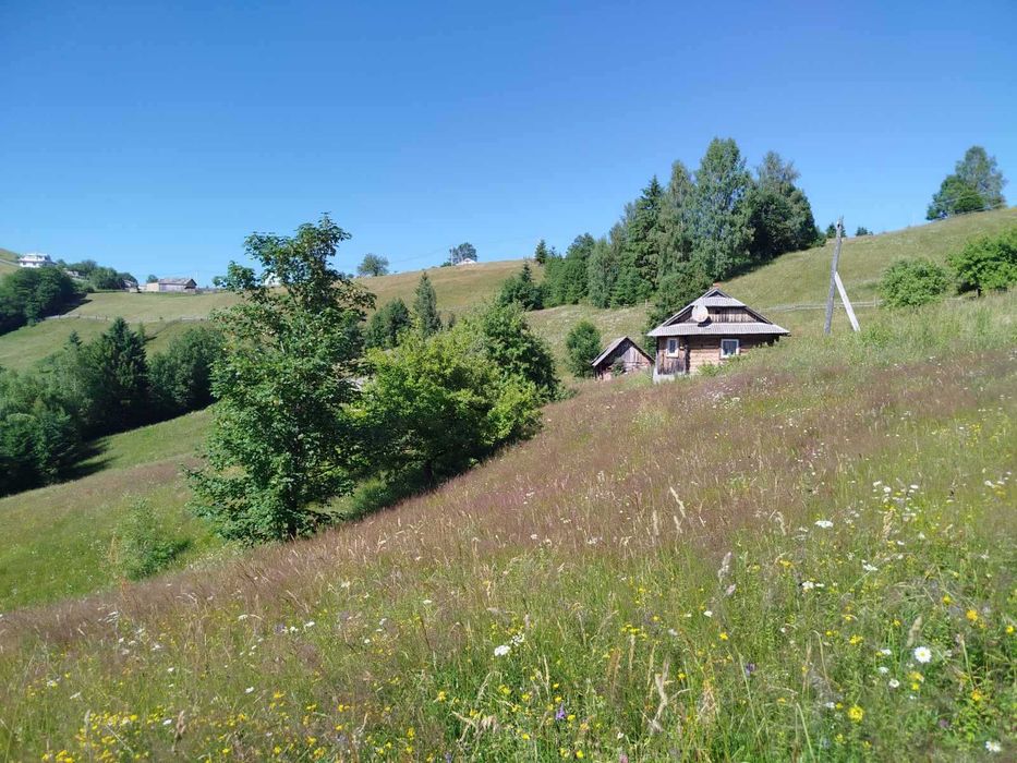 Будиночок в Карпатах, урочище Полянки з великою земельною ділянкою