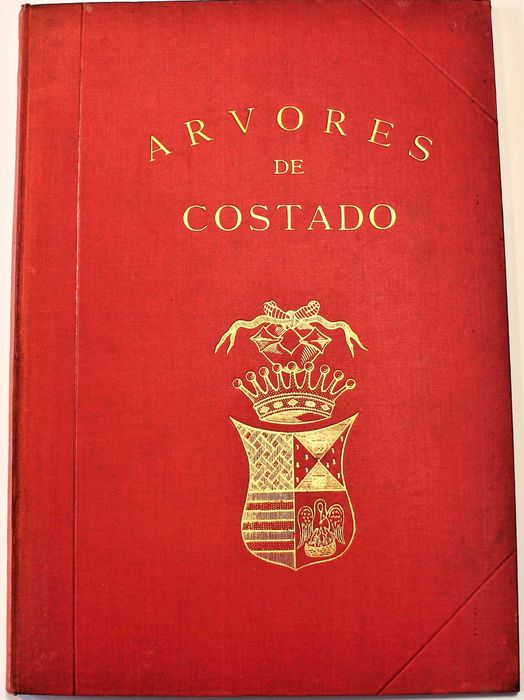 Arvores de Costado genealogia de Simão de Gusmão Correia Arouca