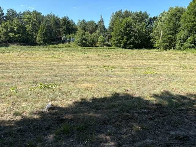 Działka budowlana Arciechów 6500 m2