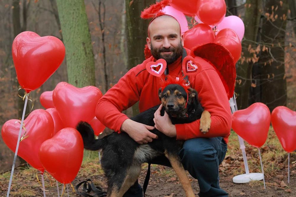 MUMIN - 1,5-roczny, łagodny i czuły wobec ludzi. [FILMIKI}