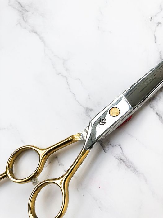 Професійні ножиці для грумінгу собак та котів – вигнуті ножиці