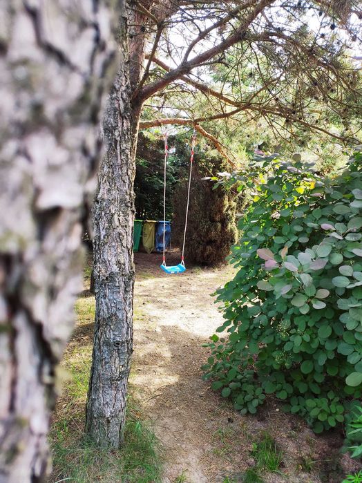 Dom nad jeziorem z bali drewniany z jacuzzi na pięknej działce