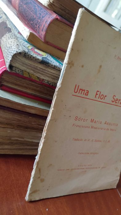 Uma Flor Seráfica 1952 P. Benvenuto Bazzocchimi