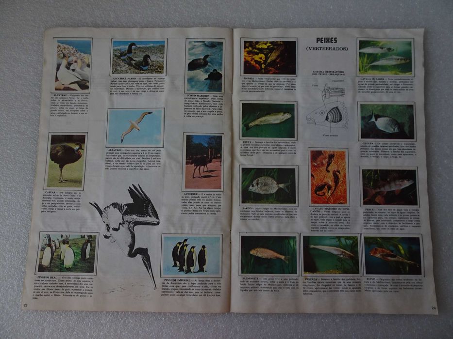 Caderneta de cromos Colecção da Natureza (faltam 49 cromos)