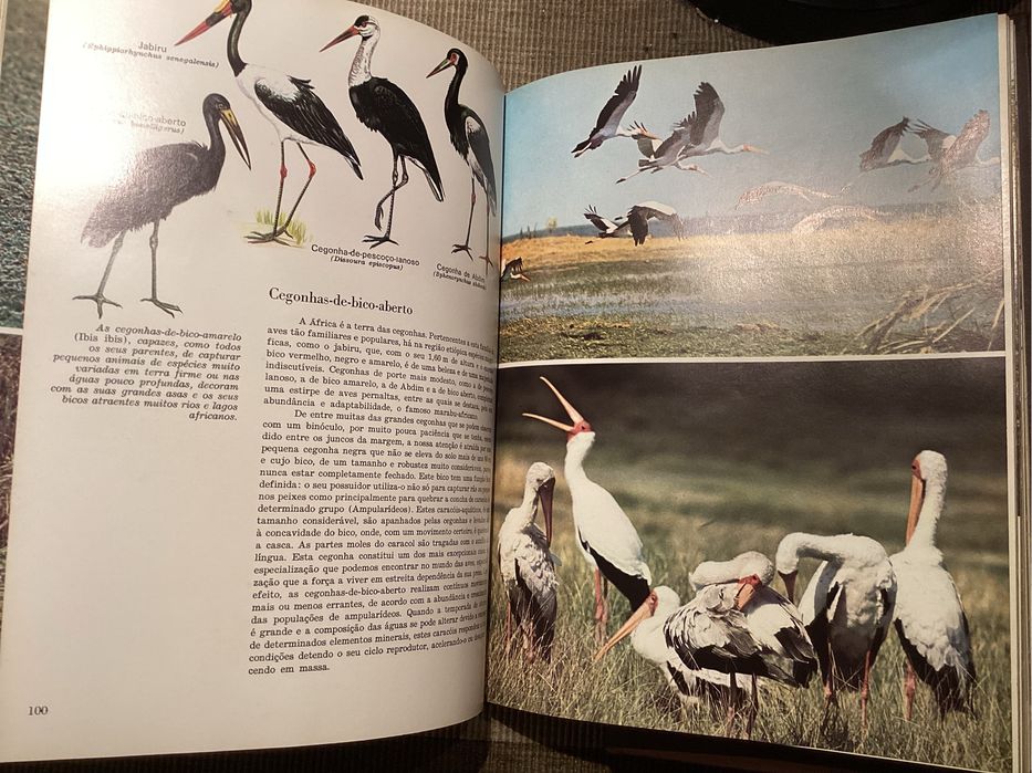 Eciclopédia A FAUNA da enciclopédia ALFA. Completa. Excelente.