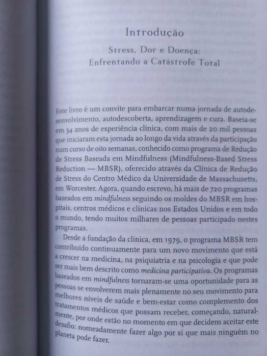 Mindfulness; A vida como ela é - Jon Kabat-Zinn