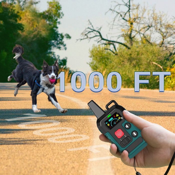 Нашийник для дресирування собак