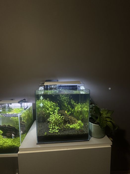 Akwarium kostka 35x35