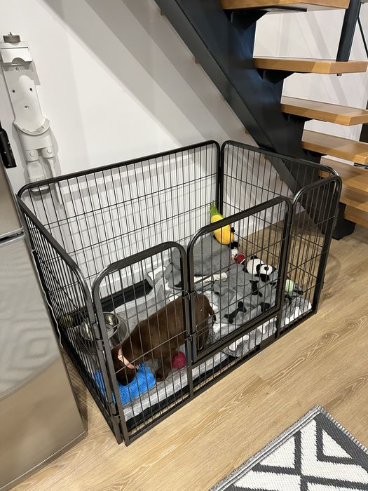 Parque para animais grade vedação cão