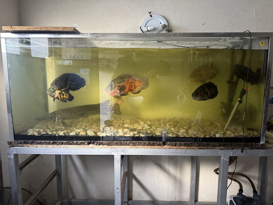 Aquario 150/65/60