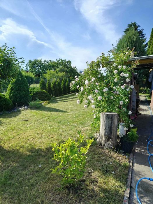Działka ROD Jedność Nakło nad Notecią 416 m2