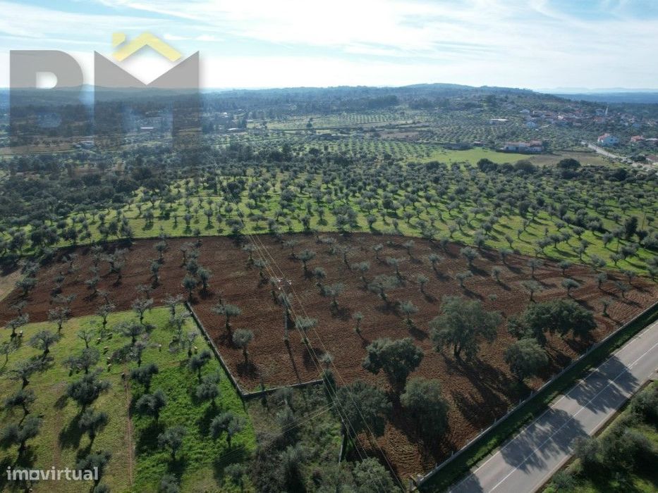 Terreno rústico com 1.34ha em Freixial do Campo — Freixial E Juncal Do Campo, Castelo Branco