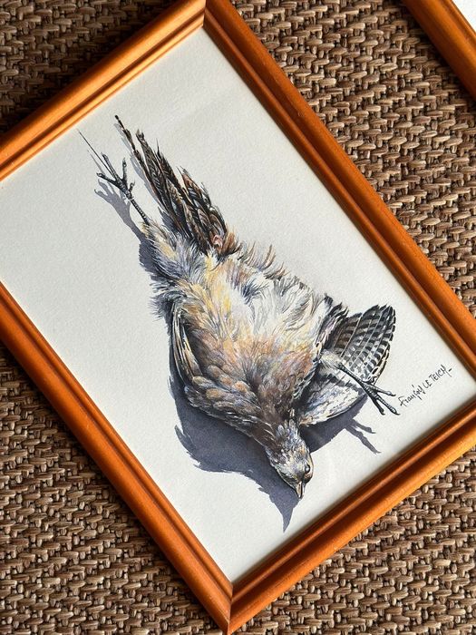 Quadros pinturas com pato real e codorniz