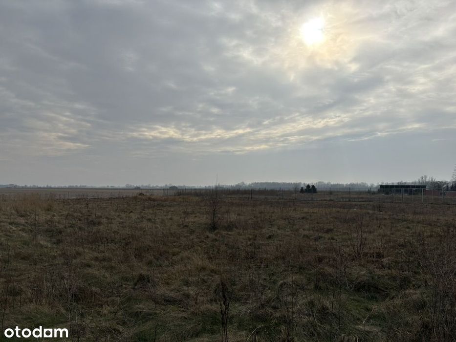 Działki rolne, Orłów, gm. Nowa Sucha - Widok 2