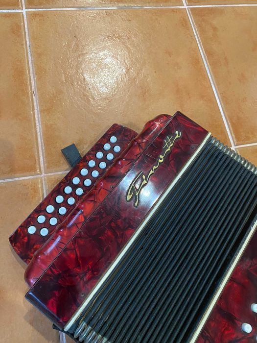 Concertina Finotti