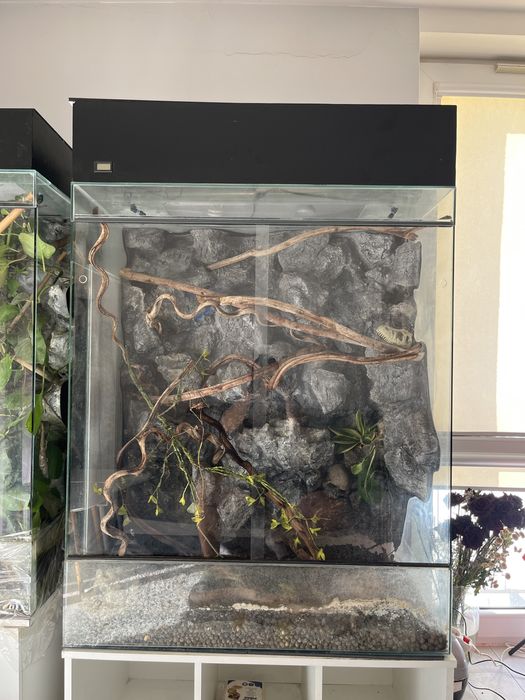 Sprzedam terarium
